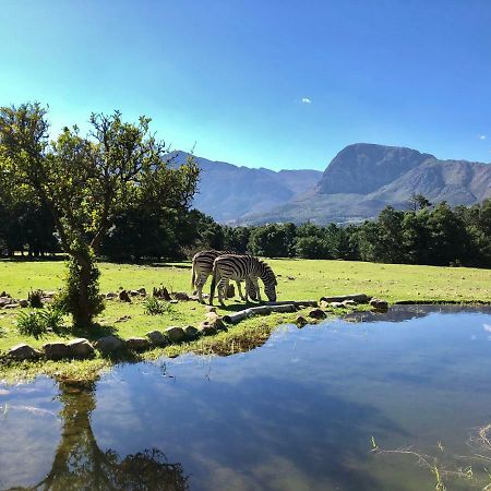 Franschhoek Country Cottages Экстерьер фото